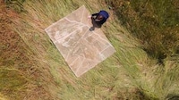Drought-Awareness Rug Designs Image 2