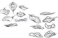Sleek Stingray-Inspired Mouses Image 4