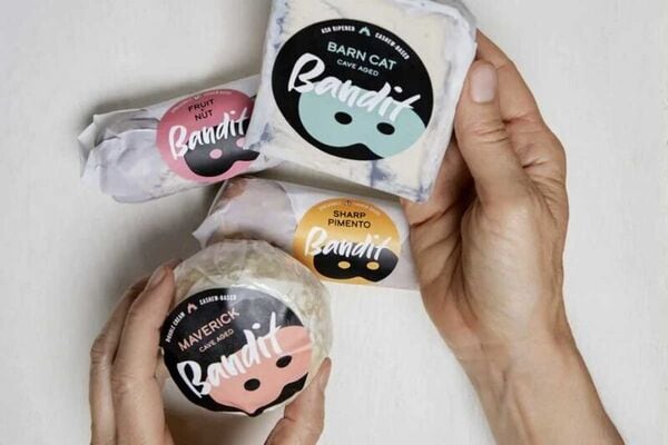 70 Gifts for Cat Lovers