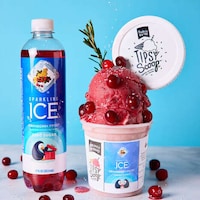 Boozy Cranberry Sorbets