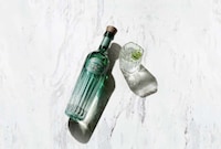 Mexican Tequila Expansions