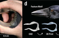 Crow Beak-Inspired Tweezers