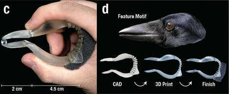 Crow Beak-Inspired Tweezers