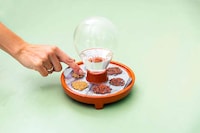 Foolproof Sprouting Kits