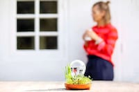 Foolproof Sprouting Kits Image 7