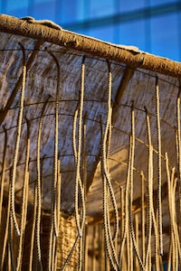 Mangrove Forest-Inspired Installations Image 3