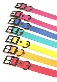 Stylish Waterproof Dog Accessories