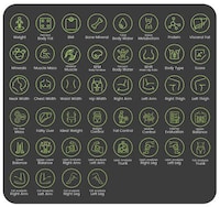 Total Body Analysis Scales Image 3
