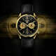 Gold-Plated Sunray Timepieces Image 1