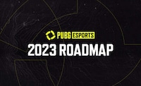 Esports Team Programs