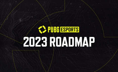 Esports Team Programs