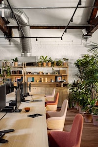 Plant-Centric Dynamic Office Spaces