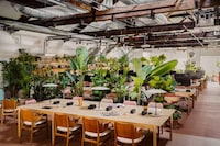 Plant-Centric Dynamic Office Spaces Image 2