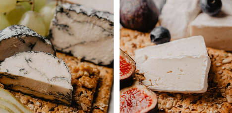 Plant-Based Artisanal Cheeses