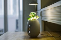 Self-Watering Plant Pots Image 1