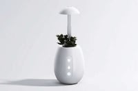 Self-Watering Plant Pots Image 2