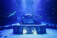 Madrid-Based Underwater Pubs Image 2