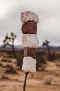 Gourmet Agave-Date Marshmallows Image 1