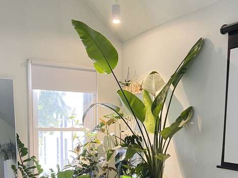 Plant-Supporting Pendant Lights