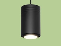 Plant-Supporting Pendant Lights Image 2