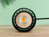 Plant-Supporting Pendant Lights Image 3