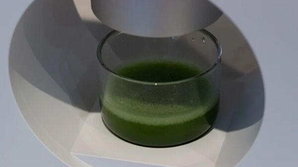  Cuzen Matcha Maker Starter Kit, an Innovative At-home