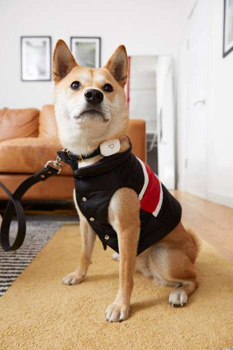 Wearable Smart Pet Devices