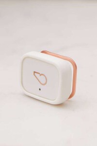 Wearable Smart Pet Devices Image 2