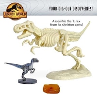 STEM Excavation Kits