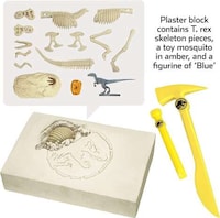 STEM Excavation Kits Image 3