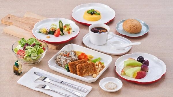 Plant-Based Inflight Menus Image 2