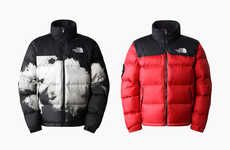 Rabbit-Themed Winter Gear : the north face 3