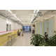 Incredibly Colorful Offices Image 1