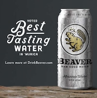 Hilarious Female-Supporting Beer Ads Image 1