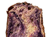 Ube-Flavored Holiday Panettoni