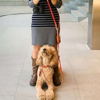 Cross-Body Dog Leashes Image 1