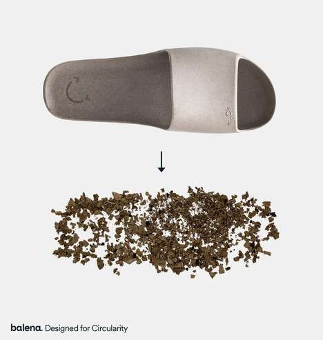 Cinnamon-Scented Biodegradable Slides