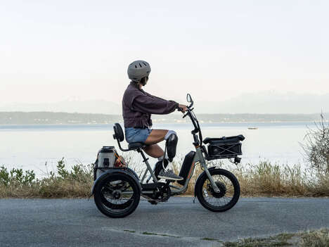 Lightweight Electric Trike Vehicles