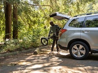 Lightweight Electric Trike Vehicles Image 2