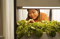 Self-Sustaining Indoor Gardens Image 2