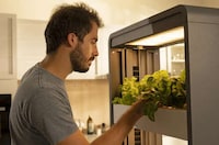 Self-Sustaining Indoor Gardens Image 3