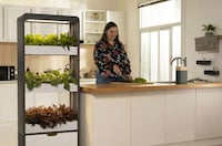 Self-Sustaining Indoor Gardens Image 4