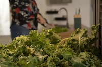 Self-Sustaining Indoor Gardens Image 5