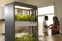 Self-Sustaining Indoor Gardens Image 6