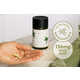 Immunity-Enhancing Olive Leaf Supplements Image 1