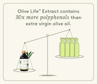 Immunity-Enhancing Olive Leaf Supplements Image 2