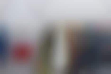 Toronto Holiday Popups