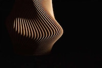 3D-Printed Intricate Homeware Image 4