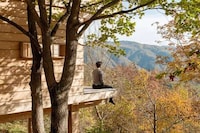 Hilltop Valley-Overlooking Cabins Image 3