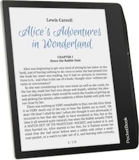 Vibrant Low-Power eReaders Image 3